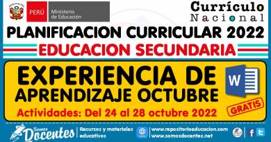 SECUNDARIO: EXPERIENCIA DE APRENDIZAJE DE OCTUBRE (Actividades de aprendizaje del 24 al 28 de octubre de 2022)